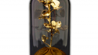 Позлатена българска средна роза под стъклен купол