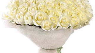 Букет от 101 Бели рози
