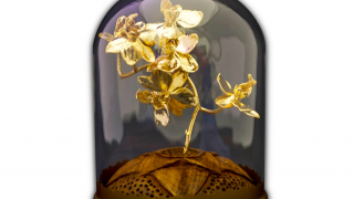 Луксозен подарък позлатена българска орхидея под стъклен купол