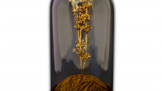 Луксозен подарък позлатена българска лавандула под стъклен купол