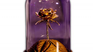Луксозен подарък позлатена българска пъпка от роза под стъклен купол